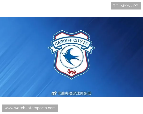 从历史传承到未来蓝图卡迪夫城俱乐部的发展与荣耀之路探索全景式